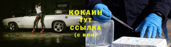 стафф Армянск