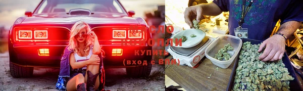 стафф Армянск